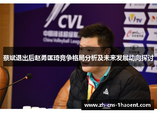 蔡斌退出后赵勇匡琦竞争格局分析及未来发展动向探讨 蔡斌退出后赵勇匡琦竞争格局分析及未来发展动向探讨