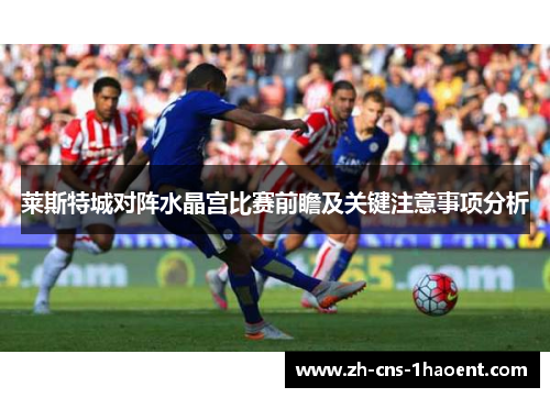 莱斯特城对阵水晶宫比赛前瞻及关键注意事项分析 莱斯特城对阵水晶宫比赛前瞻及关键注意事项分析